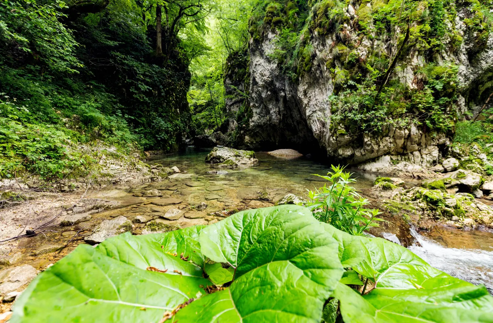Avanturističke ture, Crna Gora